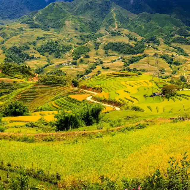 Nông sản